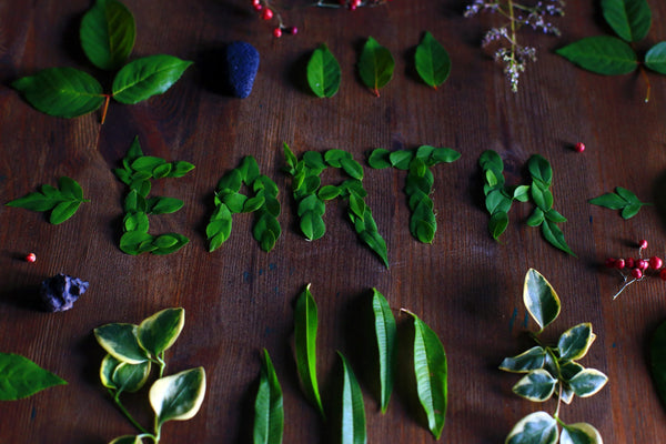 How to Reduce, Reuse and Recycle to Minimize Food Waste — While Also Saving Money!