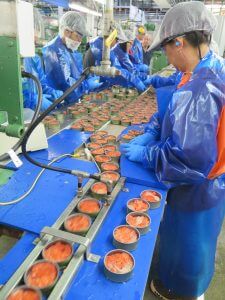 Workers at Alaska General Seafood’s canning salmon.